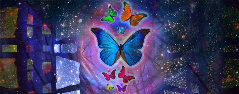 轰炸手机号信息软件免费版